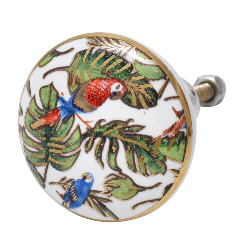 McCaw Tropical Bird Flat Ceramic Knob - Hip N Humble