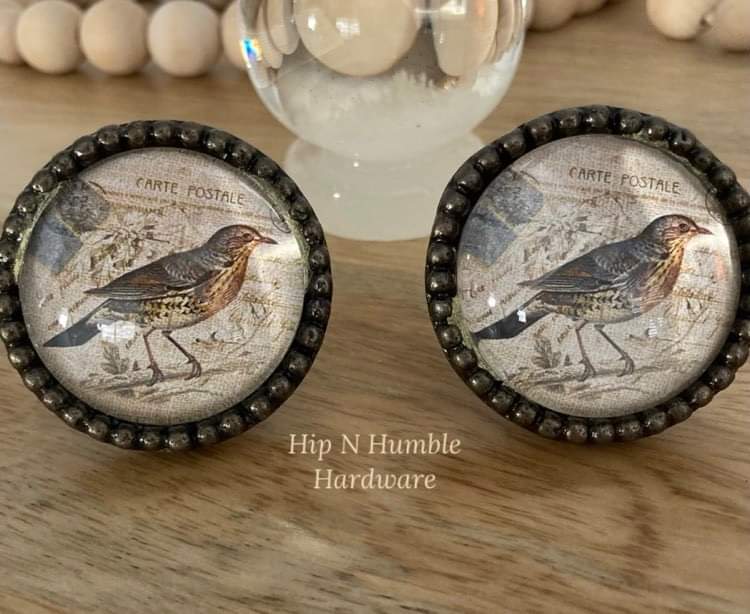 Sparrow Metal and Glass Knob - Hip N Humble