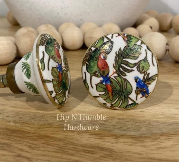 McCaw Tropical Bird Flat Ceramic Knob - Hip N Humble